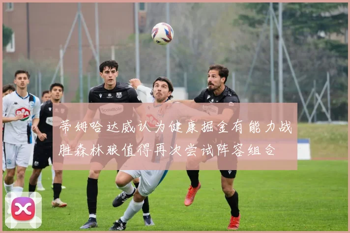 蒂姆哈达威认为健康掘金有能力战胜森林狼值得再次尝试阵容组合
