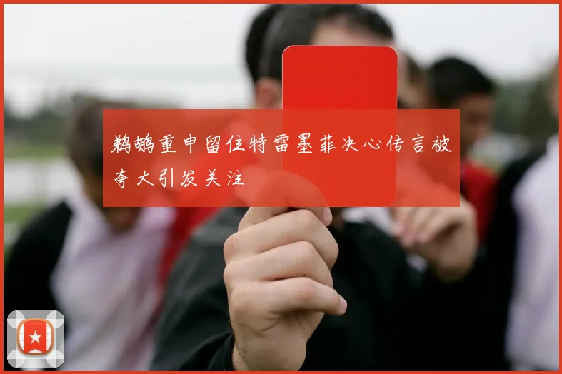 鹈鹕重申留住特雷墨菲决心传言被夸大引发关注